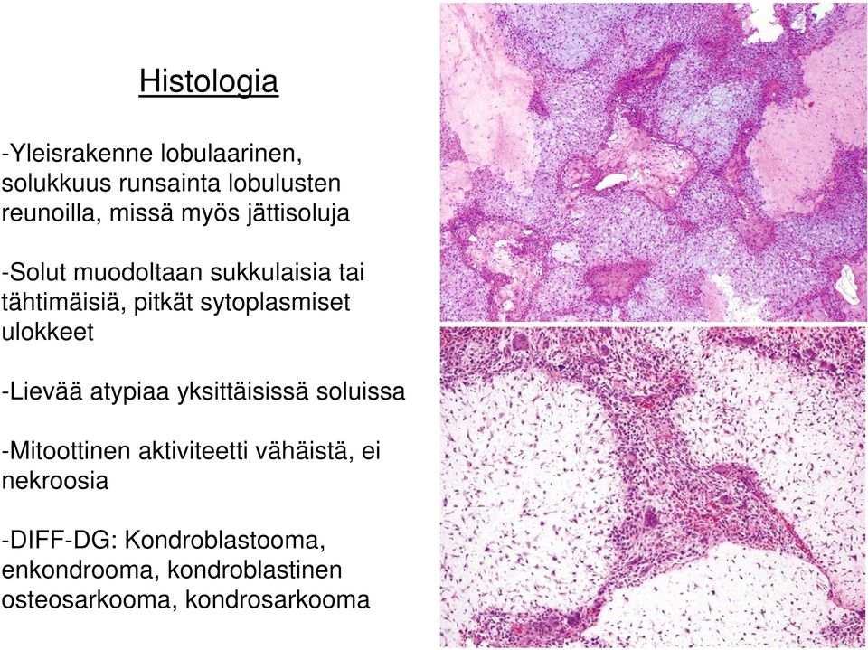 ulokkeet -Lievää atypiaa yksittäisissä soluissa -Mitoottinen aktiviteetti vähäistä, ei