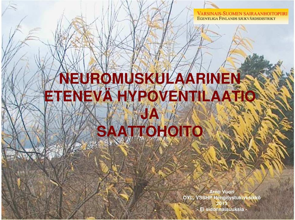 Arno Vuori OYL, VSSHP