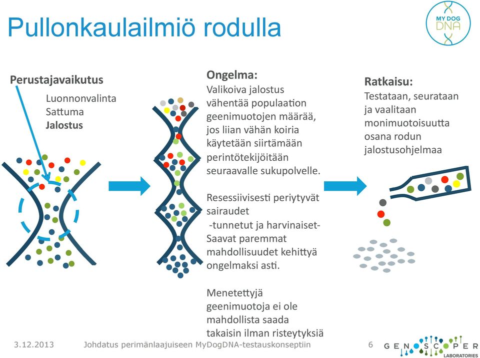 ResessiivisesA periytyvät sairaudet - tunnetut ja harvinaiset- Saavat paremmat mahdollisuudet kehi9yä ongelmaksi asa.