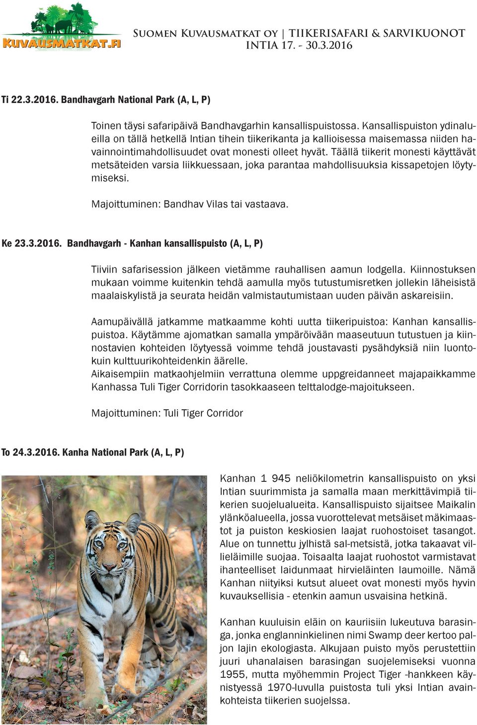 Täällä tiikerit monesti käyttävät metsäteiden varsia liikkuessaan, joka parantaa mahdollisuuksia kissapetojen löytymiseksi. Majoittuminen: Bandhav Vilas tai vastaava. Ke 23.3.2016.