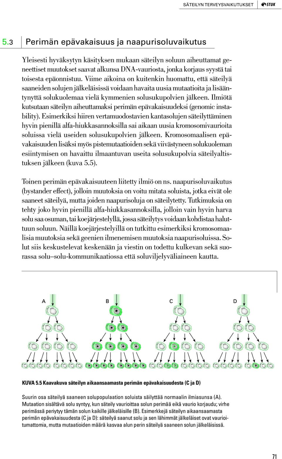 epäonnistuu. Viime aikoina on kuitenkin huomattu, että säteilyä saaneiden solujen jälkeläisissä voidaan havaita uusia mutaatioita ja lisääntynyttä solukuolemaa vielä kymmenien solusukupolvien jälkeen.