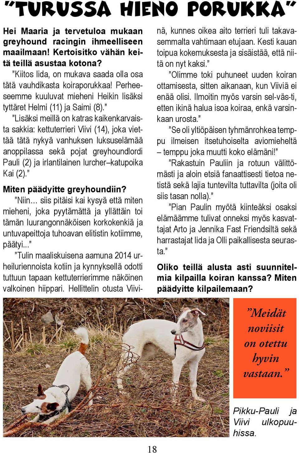 Lisäksi meillä on katras kaikenkarvaista sakkia: kettuterrieri Viivi (14), joka viettää tätä nykyä vanhuksen luksuselämää anoppilassa sekä pojat greyhoundlordi Pauli (2) ja irlantilainen lurcher