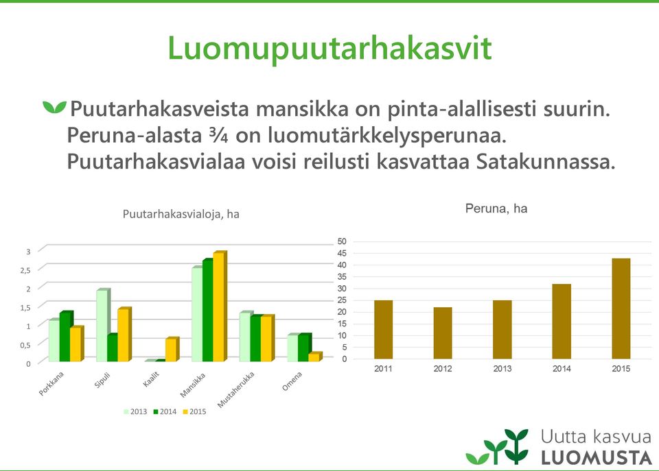 Peruna-alasta ¾ on luomutärkkelysperunaa.