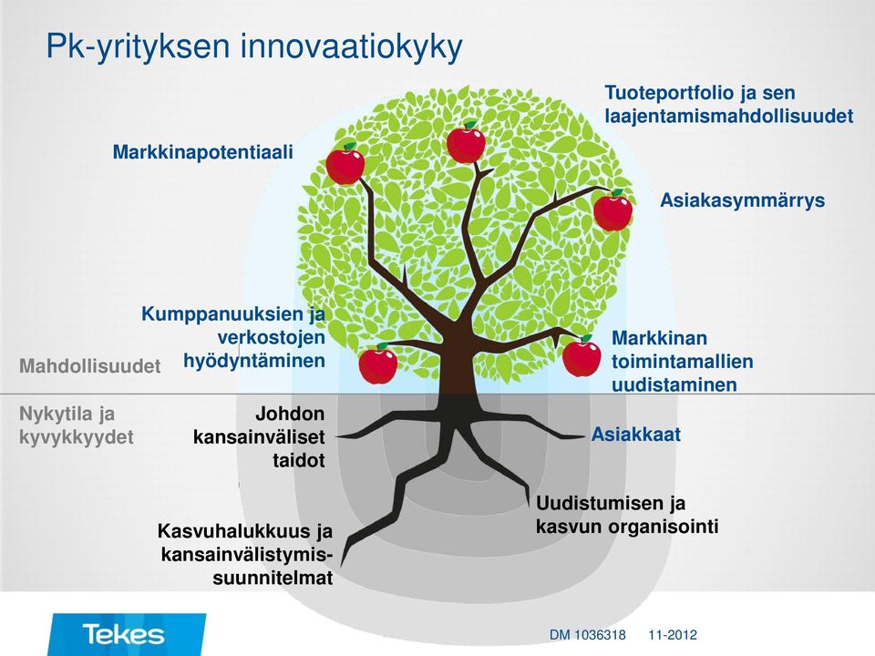 hyödyntäminen Nykytila ja kyvykkyydet Johdon kansainväliset taidot Kasvuhalukkuus ja