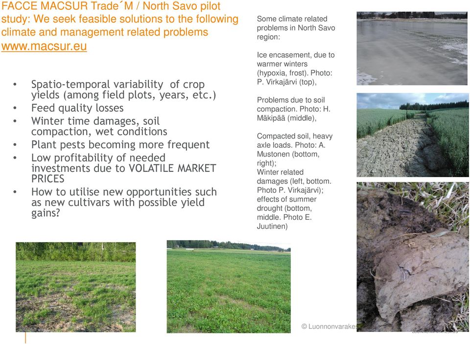 ) Feed quality losses Winter time damages, soil compaction, wet conditions Plant pests becoming more frequent Low profitability of needed investments due to VOLATILE MARKET PRICES How to utilise new