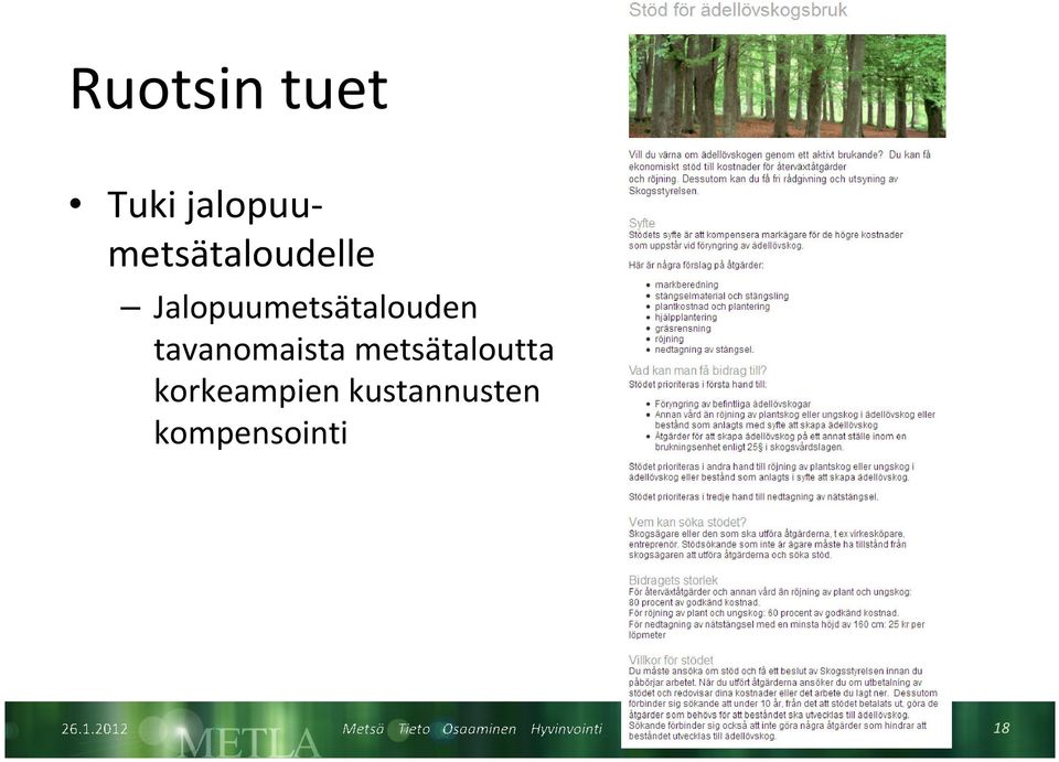 Jalopuumetsätalouden