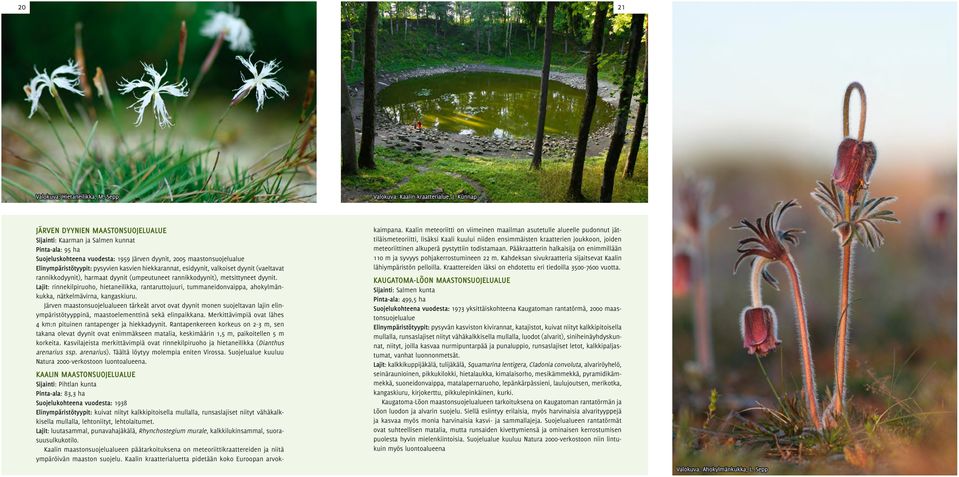kasvien hiekkarannat, esidyynit, valkoiset dyynit (vaeltavat rannikkodyynit), harmaat dyynit (umpeutuneet rannikkodyynit), metsittyneet dyynit.