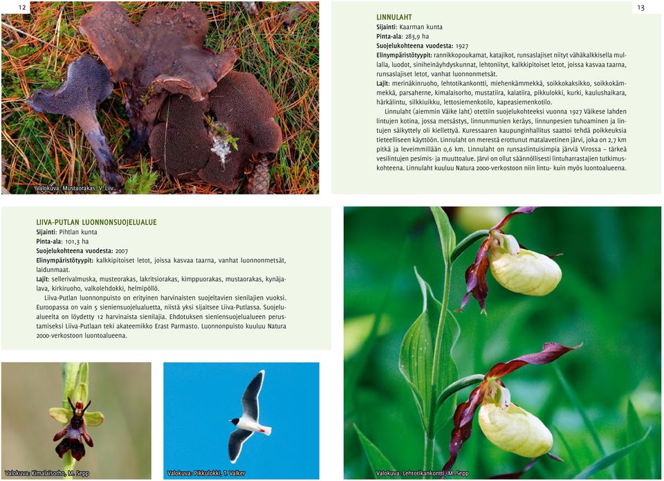 Lajit: merinäkinruoho, lehtotikankontti, miehenkämmekkä, soikkokaksikko, soikkokämmekkä, parsaherne, kimalaisorho, mustatiira, kalatiira, pikkulokki, kurki, kaulushaikara, härkälintu, silkkiuikku,