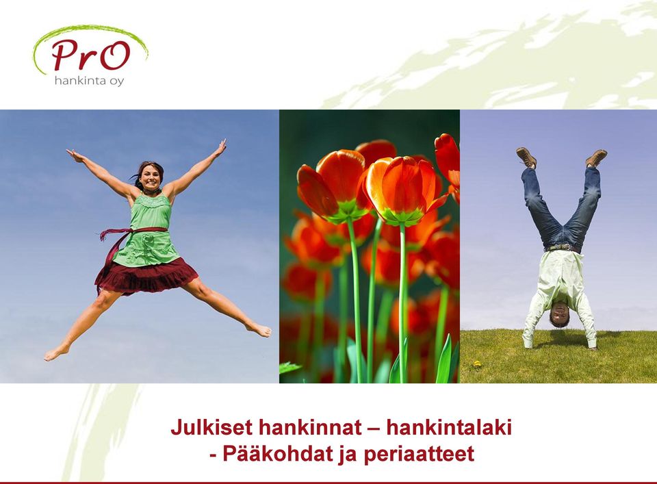 hankintalaki -