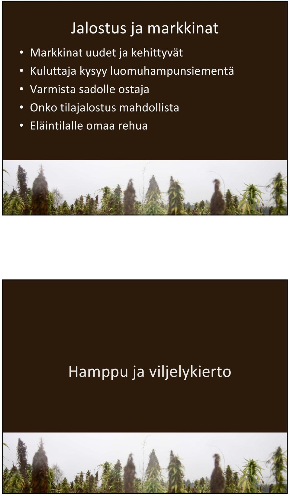 Varmista sadolle ostaja Onko tilajalostus