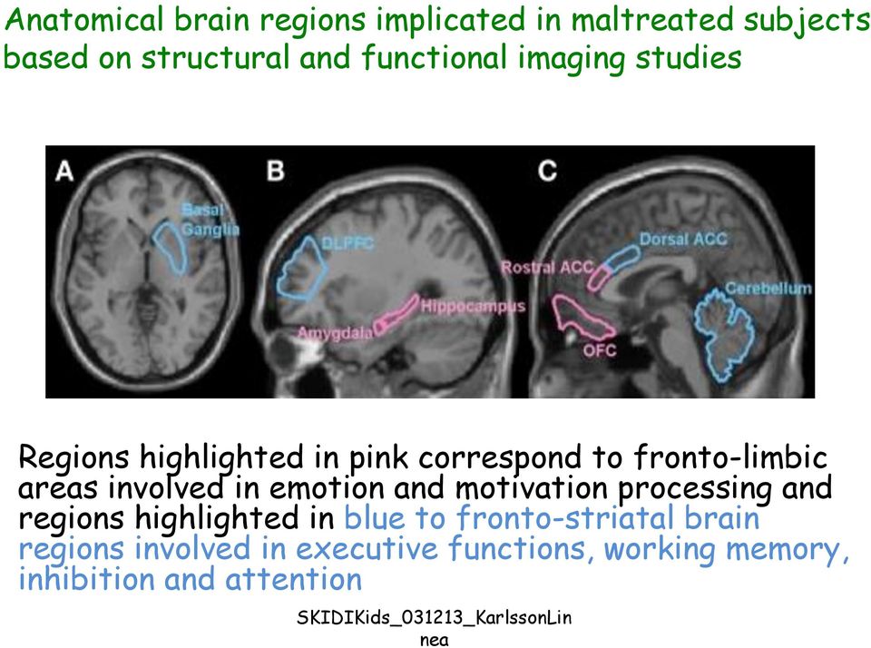 and motivation processing and regions highlighted in blue to fronto-striatal brain regions