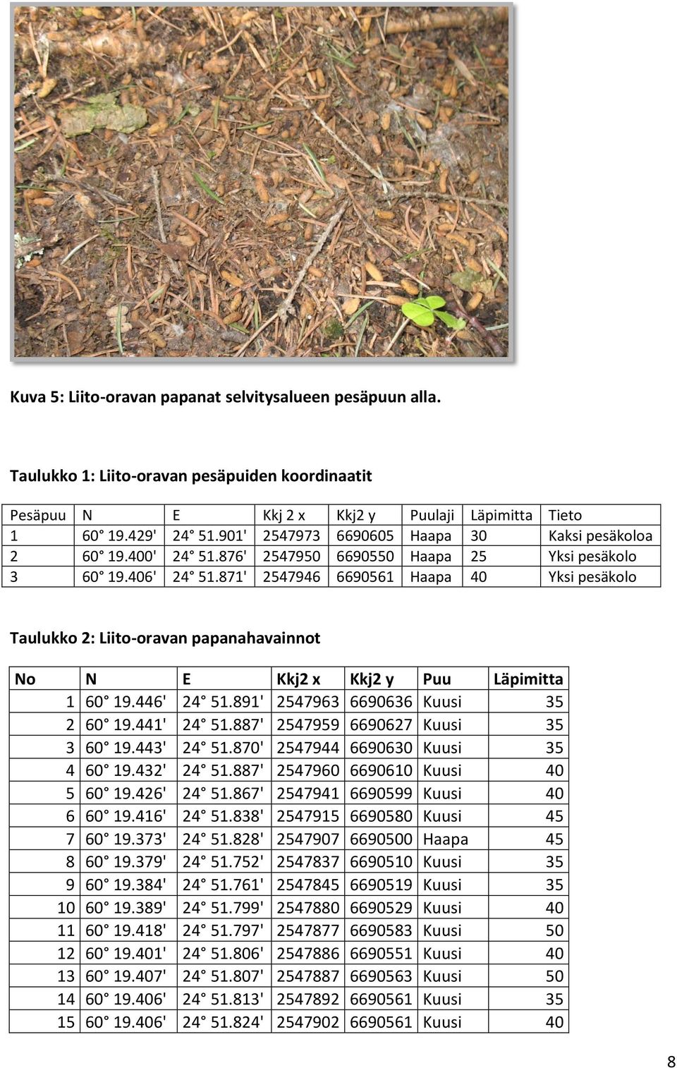 871' 2547946 6690561 Haapa 40 Yksi pesäkolo Taulukko 2: Liito-oravan papanahavainnot No N E Kkj2 x Kkj2 y Puu Läpimitta 1 60 19.446' 24 51.891' 2547963 6690636 Kuusi 35 2 60 19.441' 24 51.