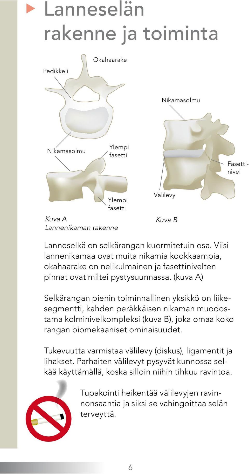 (kuva A) Selkärangan pienin toiminnallinen yksikkö on liikesegmentti, kahden peräkkäisen nikaman muodostama kolminivelkompleksi (kuva B), joka omaa koko rangan biomekaaniset ominaisuudet.