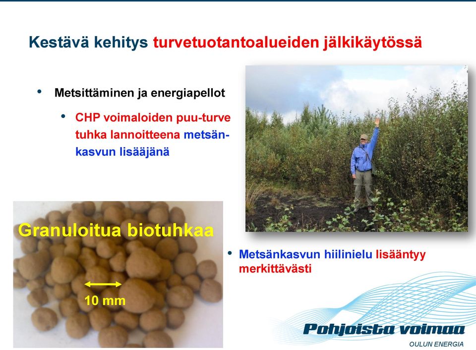 tuhka lannoitteena metsän- kasvun lisääjänä Granuloitua