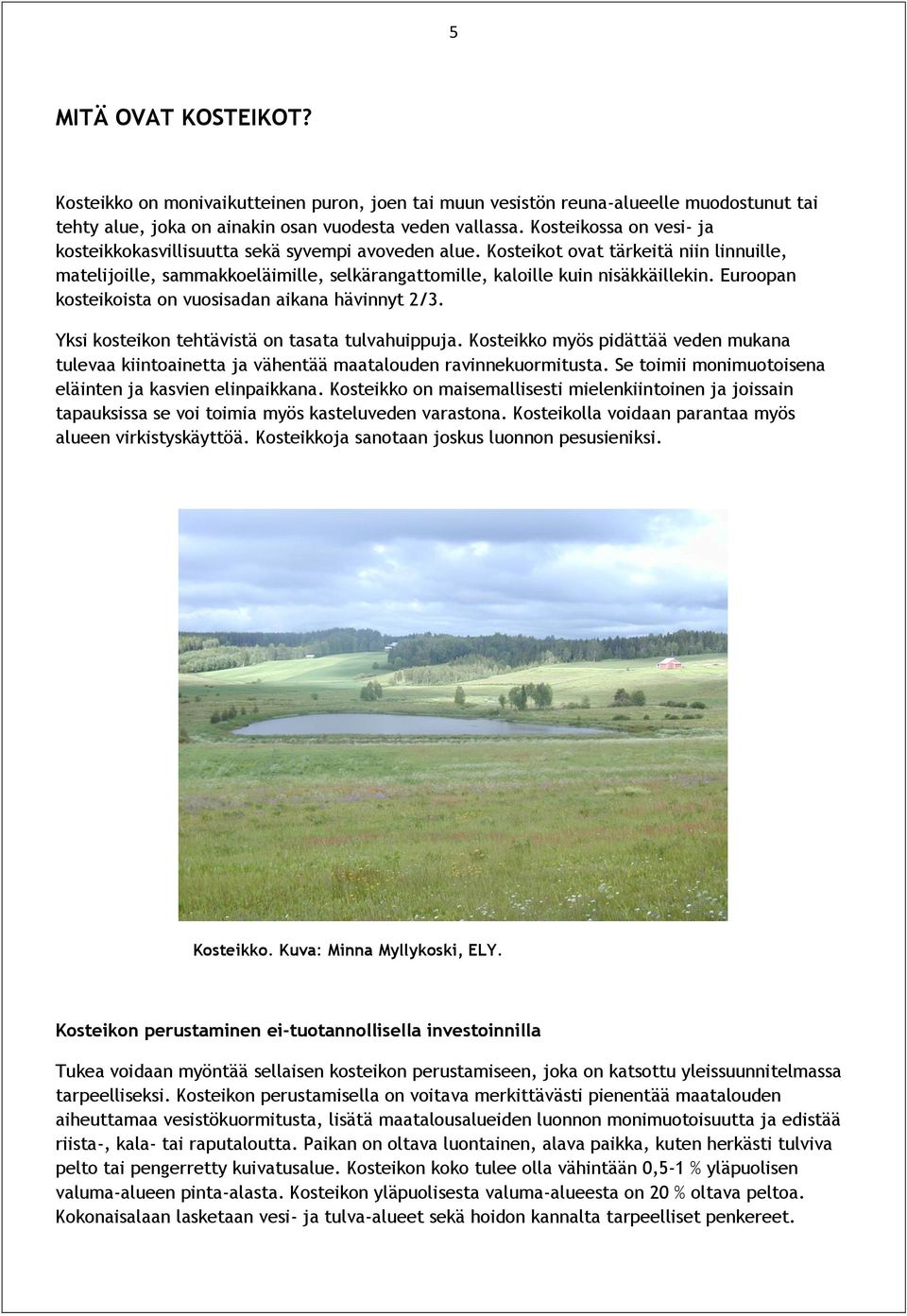 Euroopan kosteikoista on vuosisadan aikana hävinnyt 2/3. Yksi kosteikon tehtävistä on tasata tulvahuippuja.