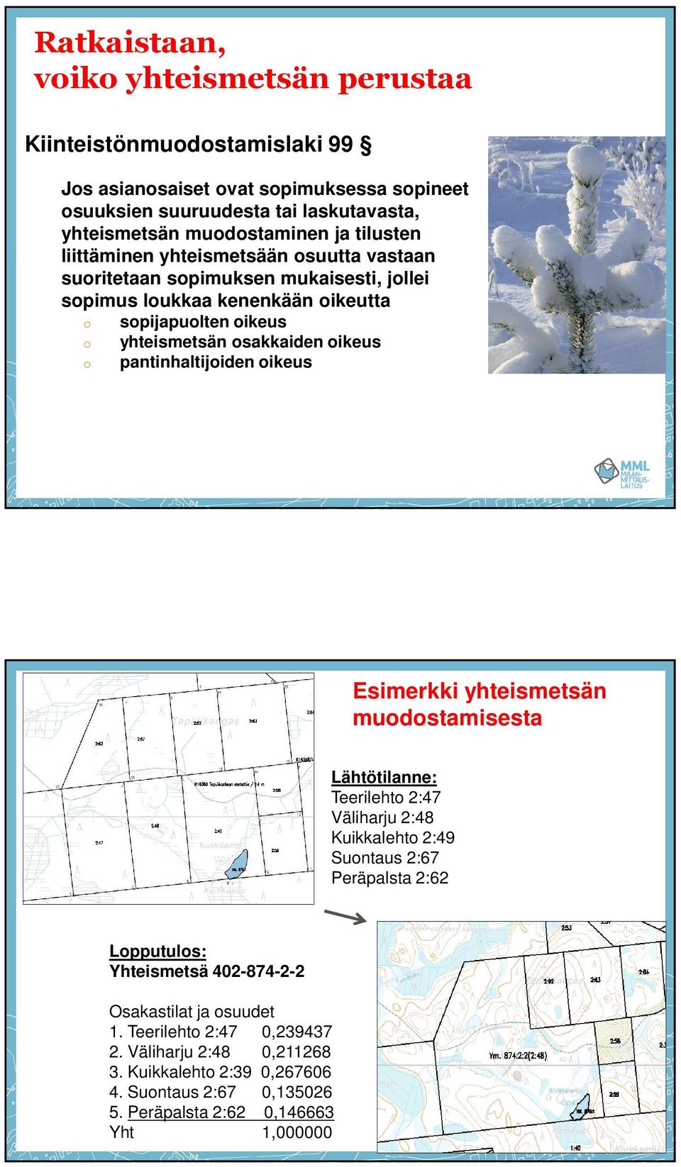 oikeus o pantinhaltijoiden oikeus Esimerkki yhteismetsän muodostamisesta Lähtötilanne: Teerilehto 2:47 Väliharju 2:48 Kuikkalehto 2:49 Suontaus 2:67 Peräpalsta 2:62 Lopputulos: