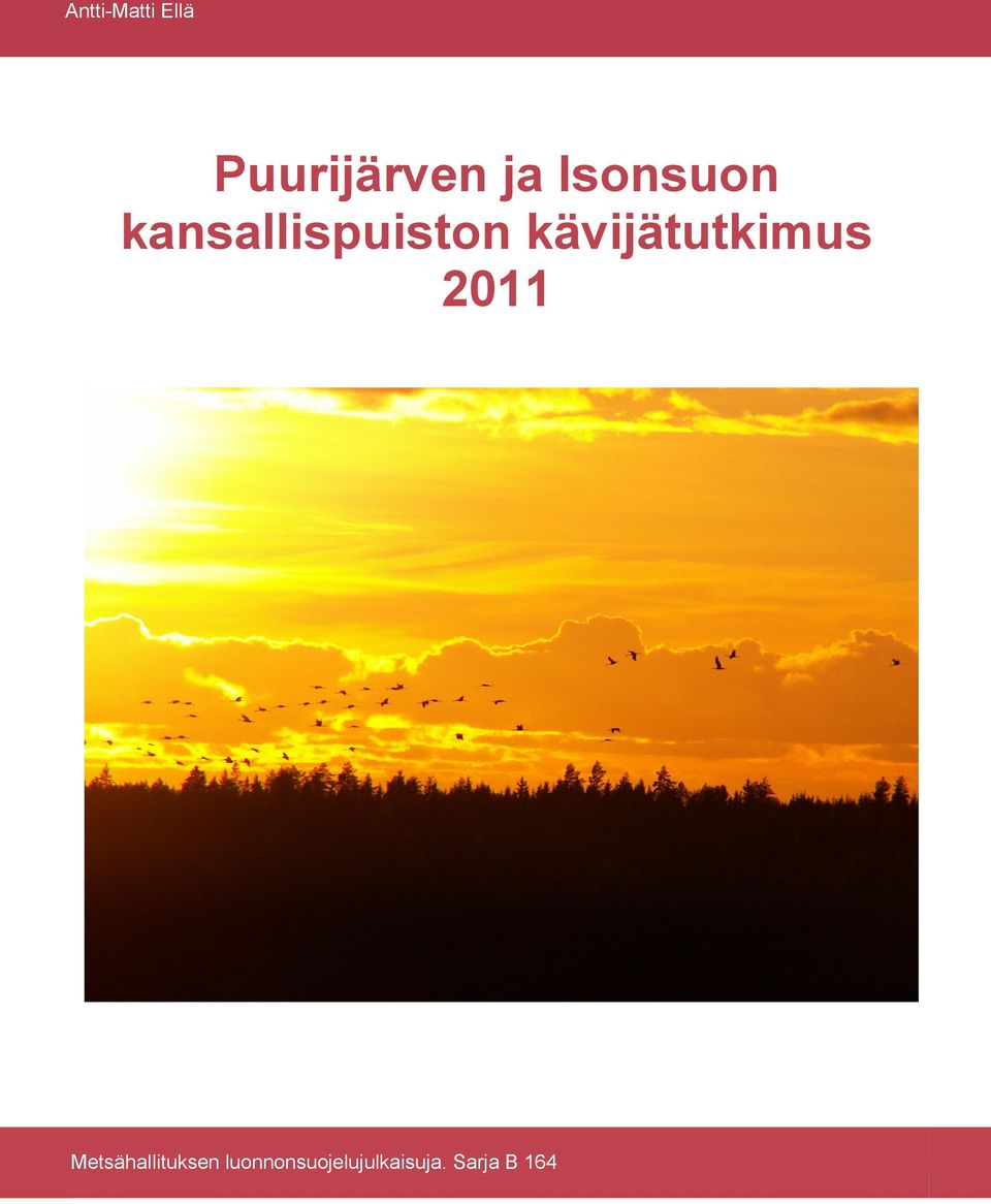 kävijätutkimus 2011