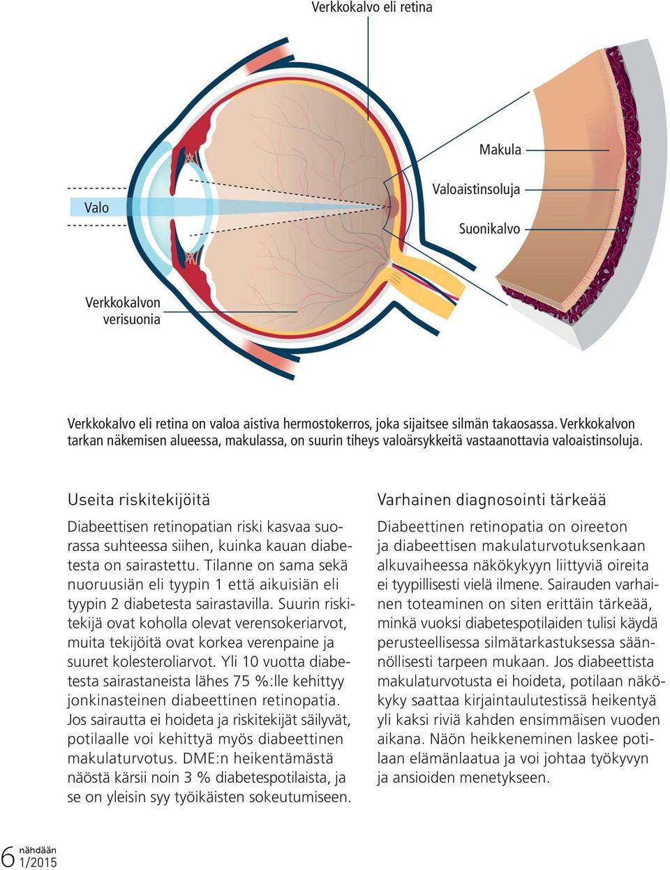 Useita riskitekijöitä Diabeettisen retinopatian riski kasvaa suorassa suhteessa siihen, kuinka kauan diabetesta on sairastettu.