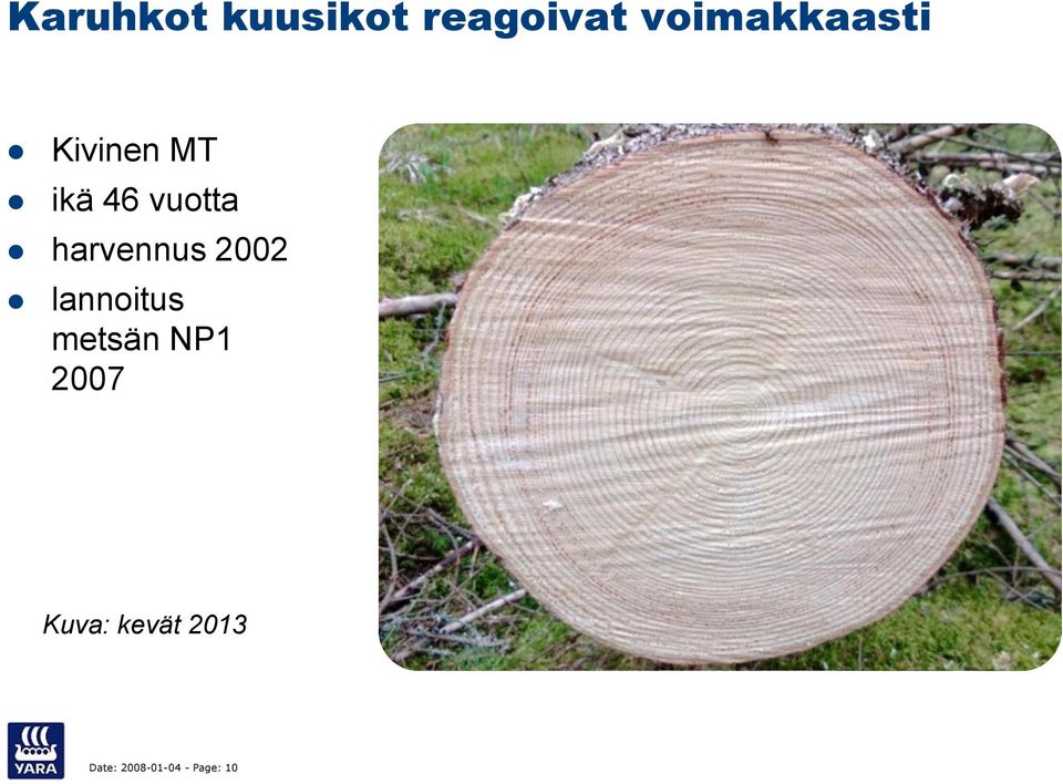 harvennus 2002 lannoitus metsän NP1