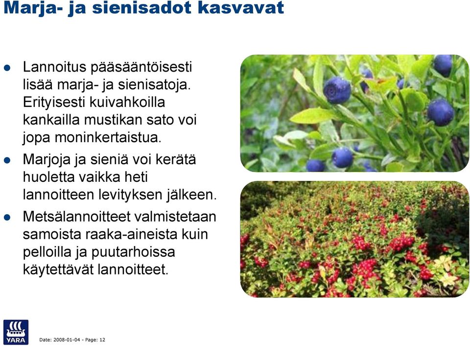 Marjoja ja sieniä voi kerätä huoletta vaikka heti lannoitteen levityksen jälkeen.