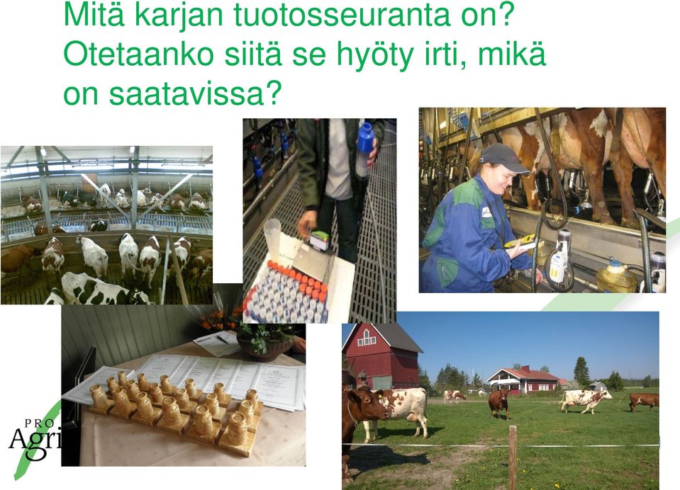 Otetaanko siitä se