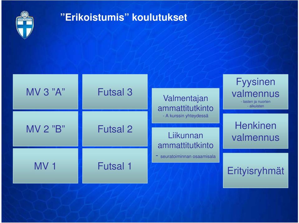 Liikunnan ammattitutkinto - seuratoiminnan osaamisala Fyysinen