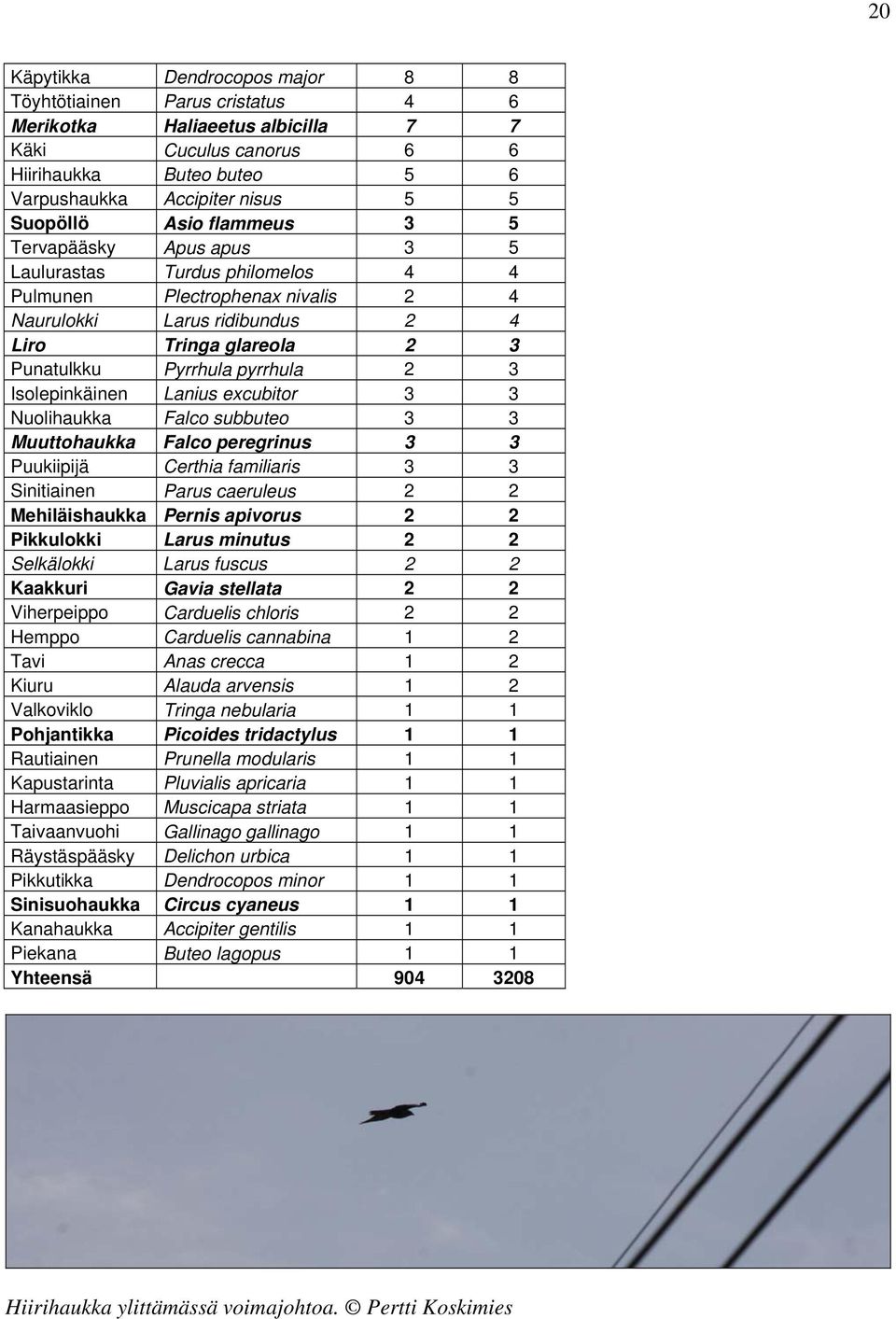 2 3 Isolepinkäinen Lanius excubitor 3 3 Nuolihaukka Falco subbuteo 3 3 Muuttohaukka Falco peregrinus 3 3 Puukiipijä Certhia familiaris 3 3 Sinitiainen Parus caeruleus 2 2 Mehiläishaukka Pernis