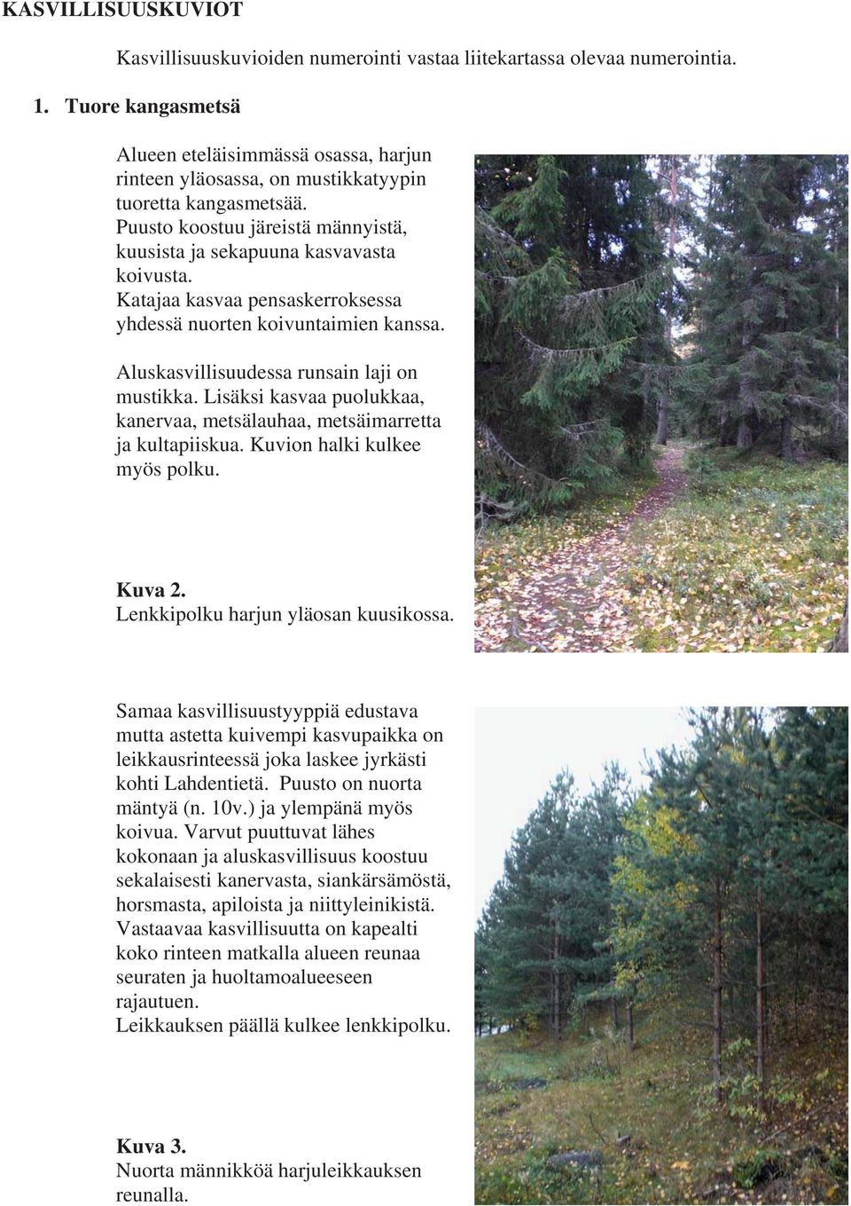 Katajaa kasvaa pensaskerroksessa yhdessä nuorten koivuntaimien kanssa. Aluskasvillisuudessa runsain laji on mustikka. Lisäksi kasvaa puolukkaa, kanervaa, metsälauhaa, metsäimarretta ja kultapiiskua.