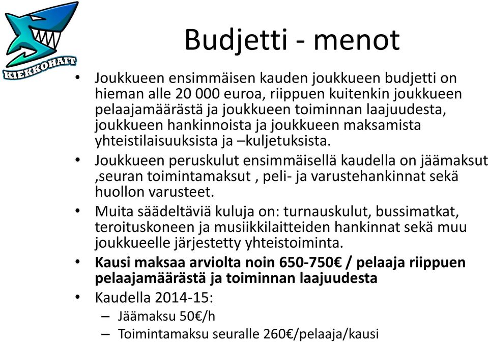 Joukkueen peruskulut ensimmäisellä kaudella on jäämaksut,seuran toimintamaksut, peli- ja varustehankinnat sekä huollon varusteet.