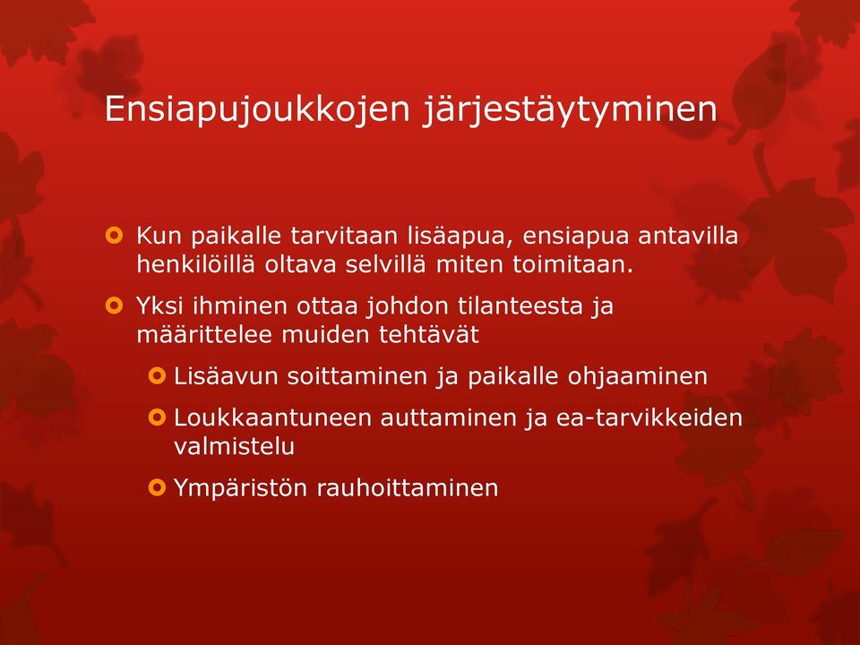 Yksi ihminen ottaa johdon tilanteesta ja määrittelee muiden tehtävät Lisäavun