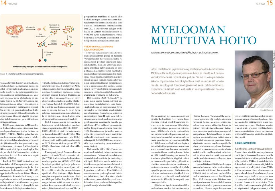 Vuosien mittaan useita ehdokkaita on esitetty (kuten IL-3R/CD123), mutta mikään niistä ei ole säilynyt toistettujen ja riippumattomien tutkimusten testissä.