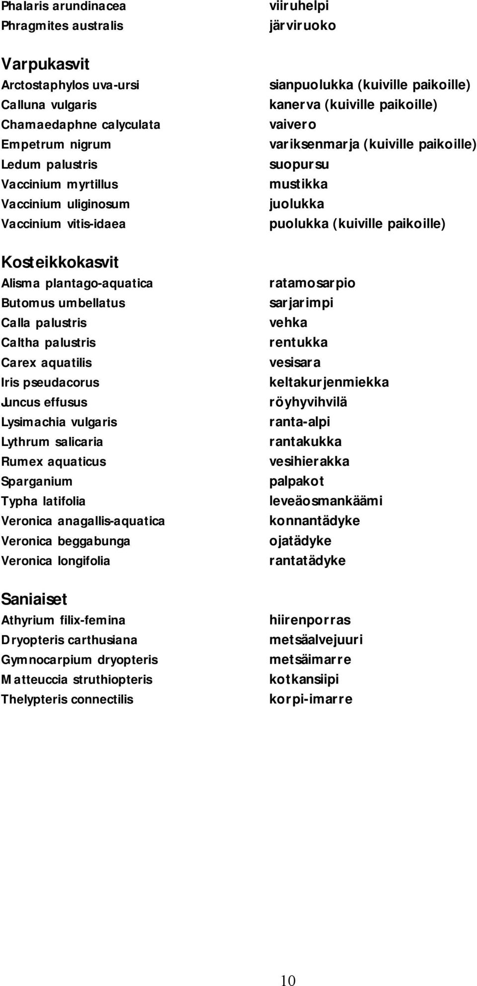 salicaria Rumex aquaticus Sparganium Typha latifolia Veronica anagallis-aquatica Veronica beggabunga Veronica longifolia Saniaiset Athyrium filix-femina Dryopteris carthusiana Gymnocarpium dryopteris