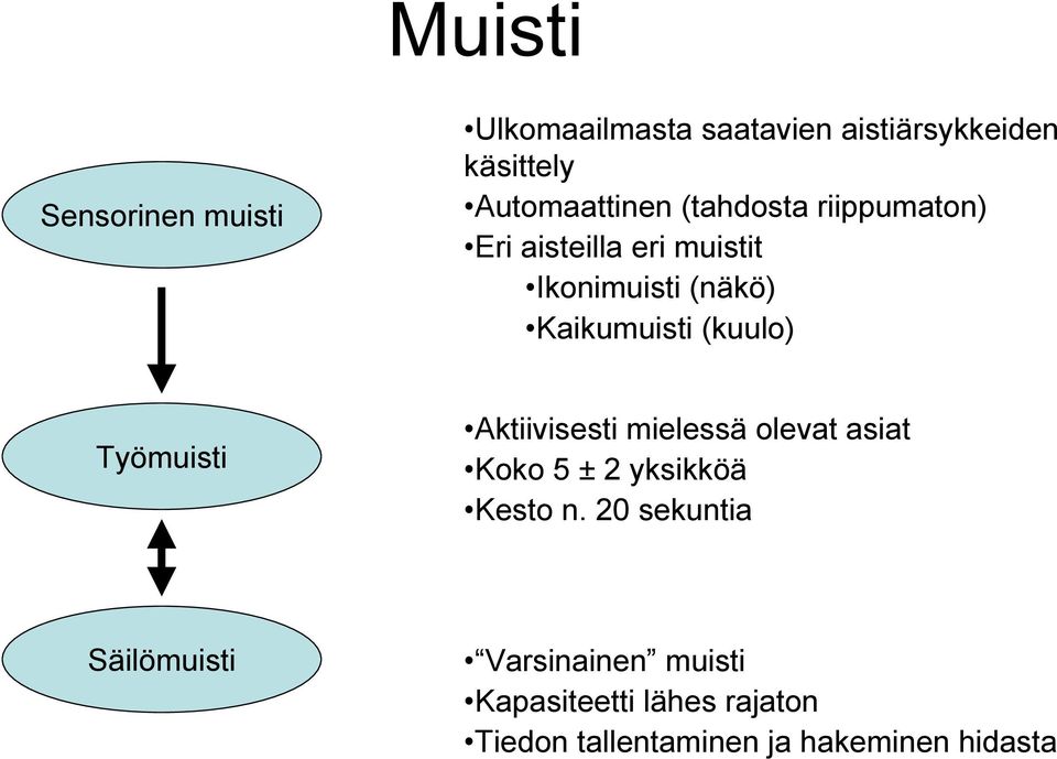 Työmuisti Aktiivisesti mielessä olevat asiat Koko 5 ± 2 yksikköä Kesto n.