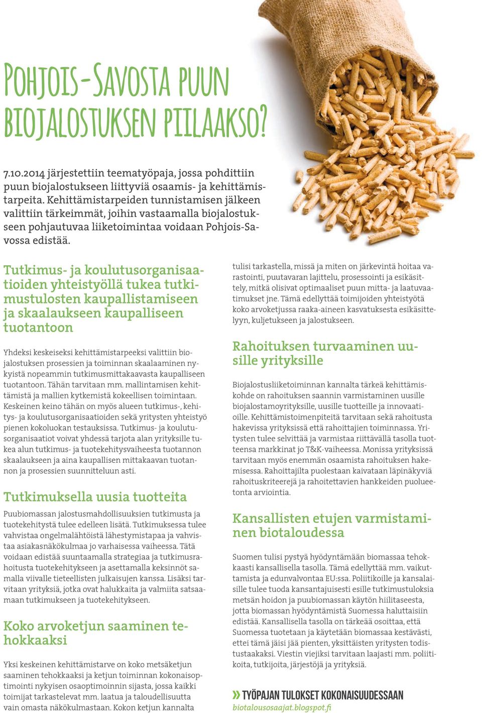 Tutkimus- ja koulutusorganisaatioiden yhteistyöllä tukea tutkimustulosten kaupallistamiseen ja skaalaukseen kaupalliseen tuotantoon Yhdeksi keskeiseksi kehittämistarpeeksi valittiin biojalostuksen