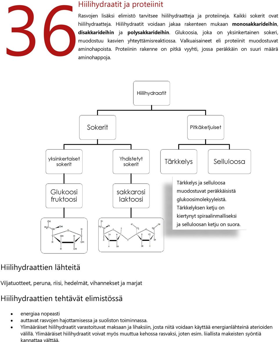 Valkuaisaineet eli proteiinit muodostuvat aminohapoista.