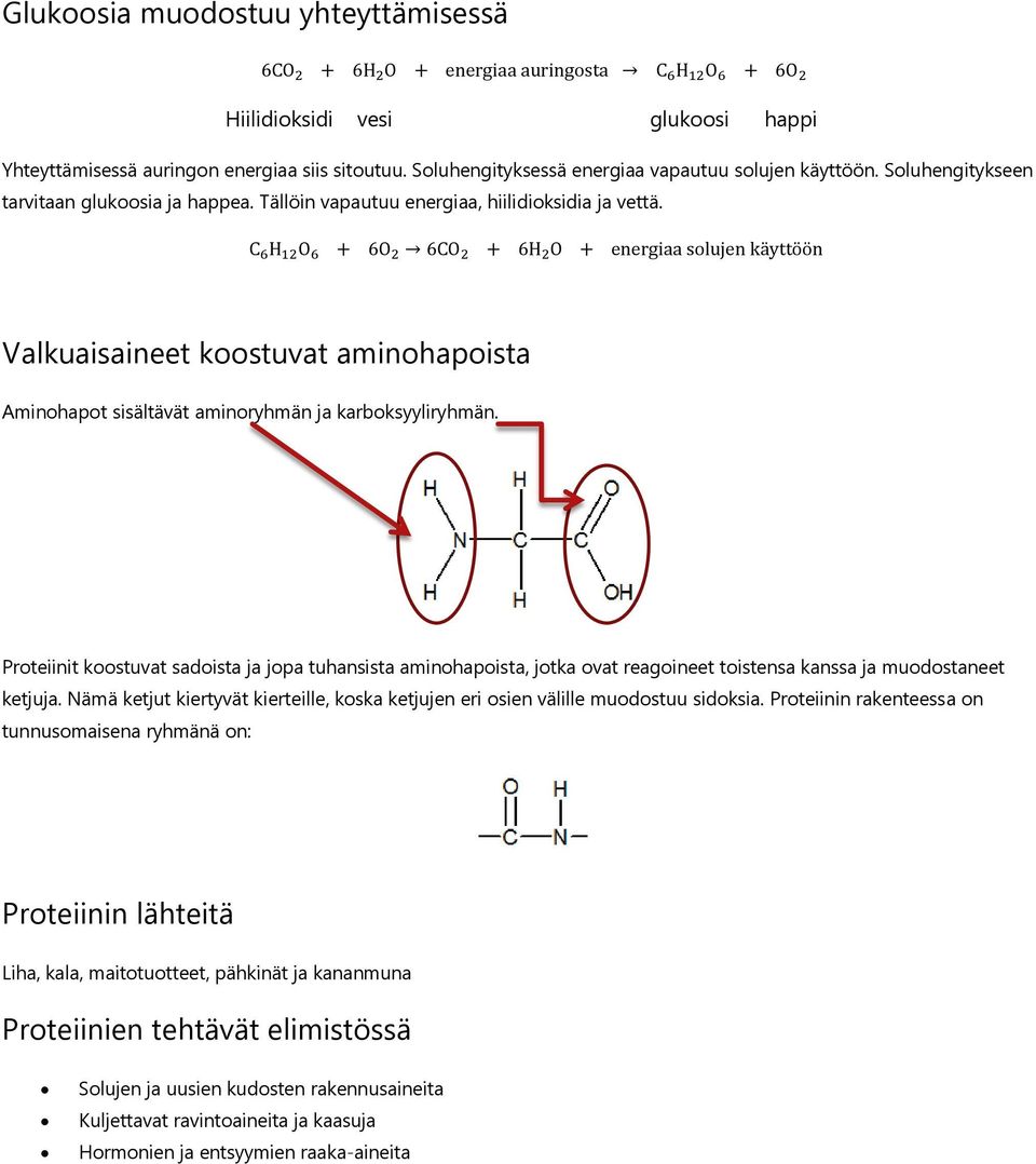 Proteiinit koostuvat sadoista ja jopa tuhansista aminohapoista, jotka ovat reagoineet toistensa kanssa ja muodostaneet ketjuja.