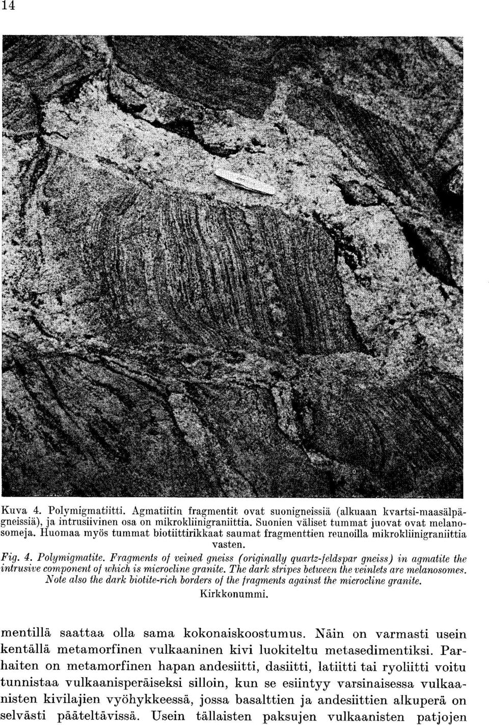 component of which is microcline granite The dark stripes between the veinlets are melanosomes Note also the dark biotite rich borders of the fragments against the microcline granite Kirkkonummi