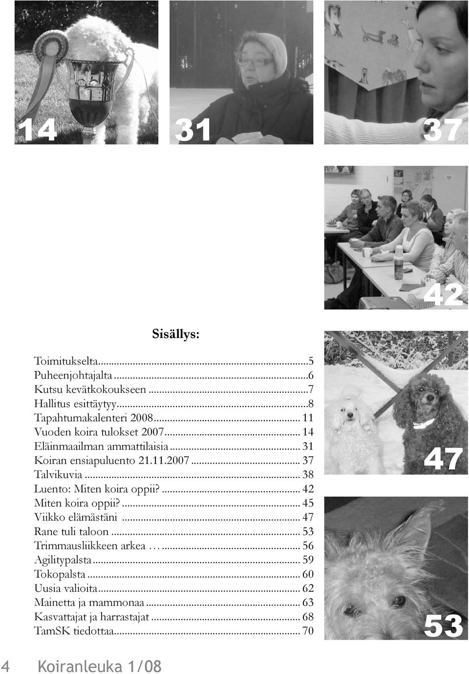 .. 38 Luento: Miten koira oppii?... 42 Miten koira oppii?... 45 Viikko elämästäni... 47 Rane tuli taloon... 53 Trimmausliikkeen arkea.