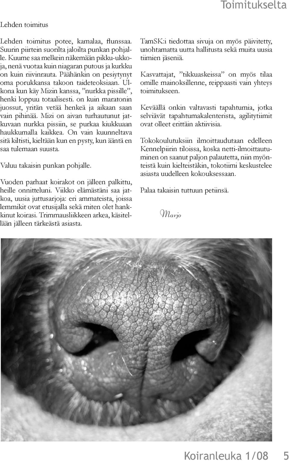 Ulkona kun käy Mizin kanssa, nurkka pissille, henki loppuu totaalisesti. on kuin maratonin juossut, yritän vetää henkeä ja aikaan saan vain pihinää.