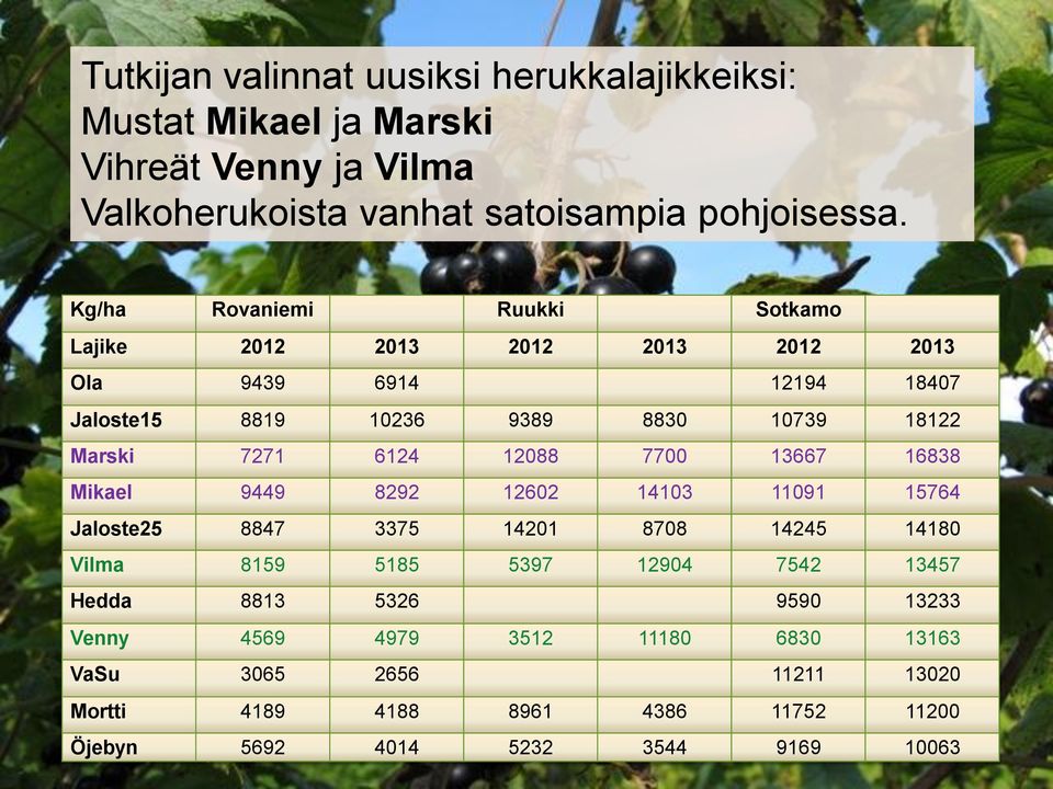 6124 12088 7700 13667 16838 Mikael 9449 8292 12602 14103 11091 15764 Jaloste25 8847 3375 14201 8708 14245 14180 Vilma 8159 5185 5397 12904 7542 13457