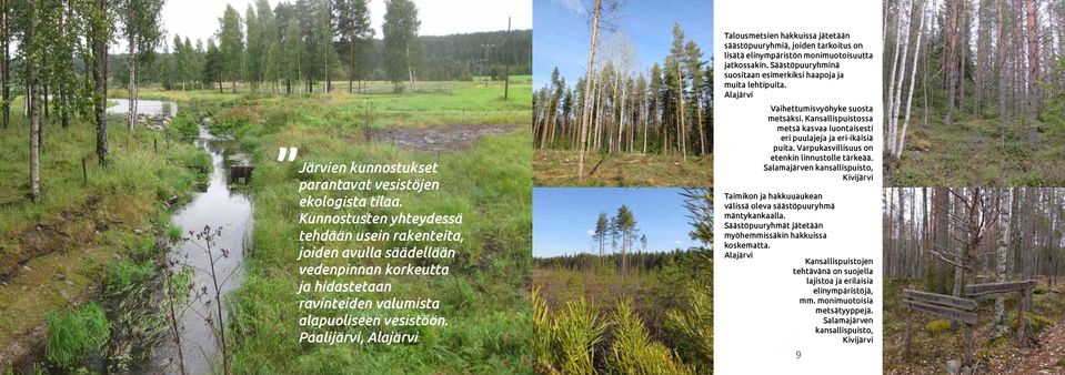 Paalijärvi, Alajärvi Talousmetsien hakkuissa jätetään säästöpuuryhmiä, joiden tarkoitus on lisätä elinympäristön monimuotoisuutta jatkossakin.