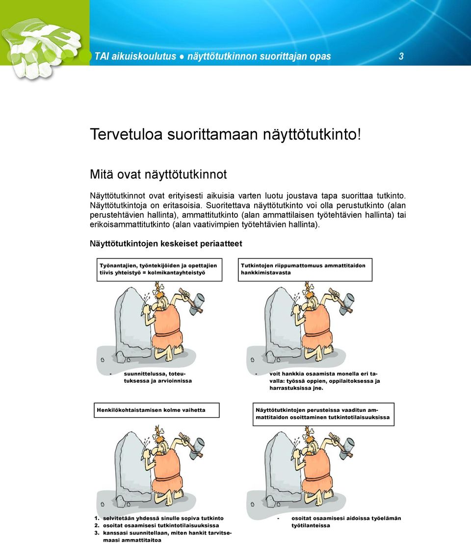 Suoritettava näyttötutkinto voi olla perustutkinto (alan perustehtävien hallinta), ammattitutkinto (alan ammattilaisen työtehtävien hallinta) tai erikoisammattitutkinto (alan vaativimpien