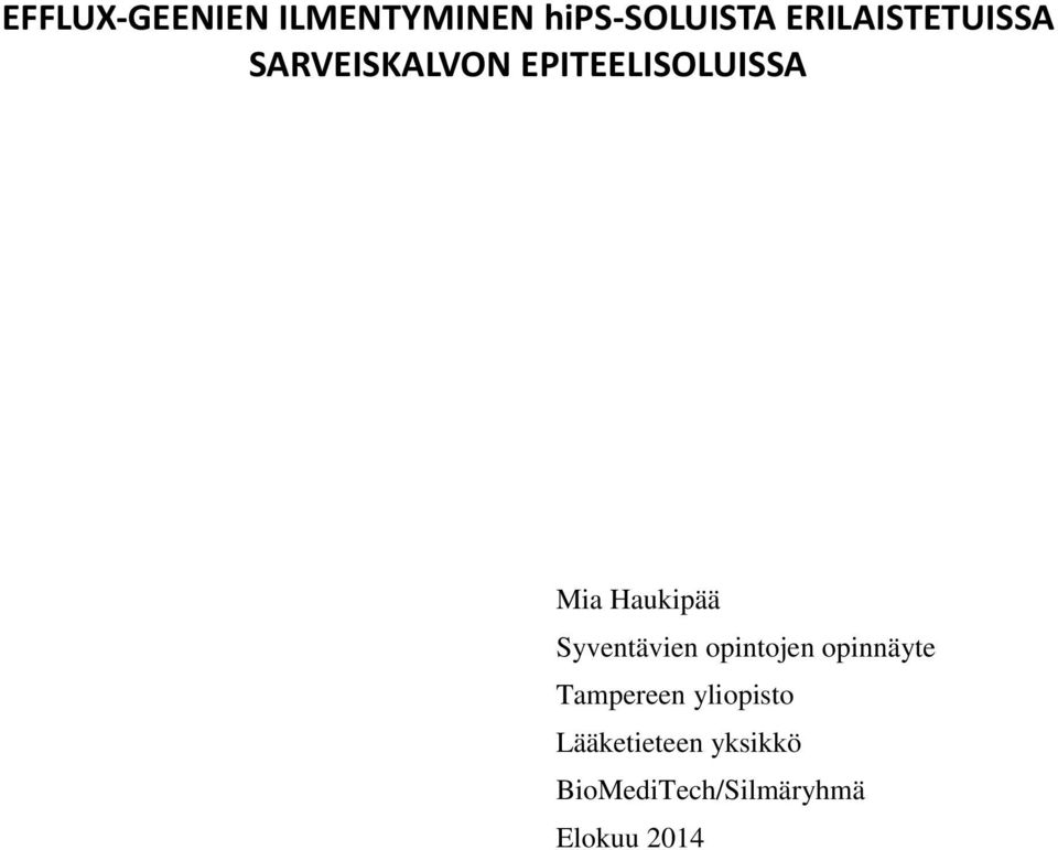 Haukipää Syventävien opintojen opinnäyte Tampereen