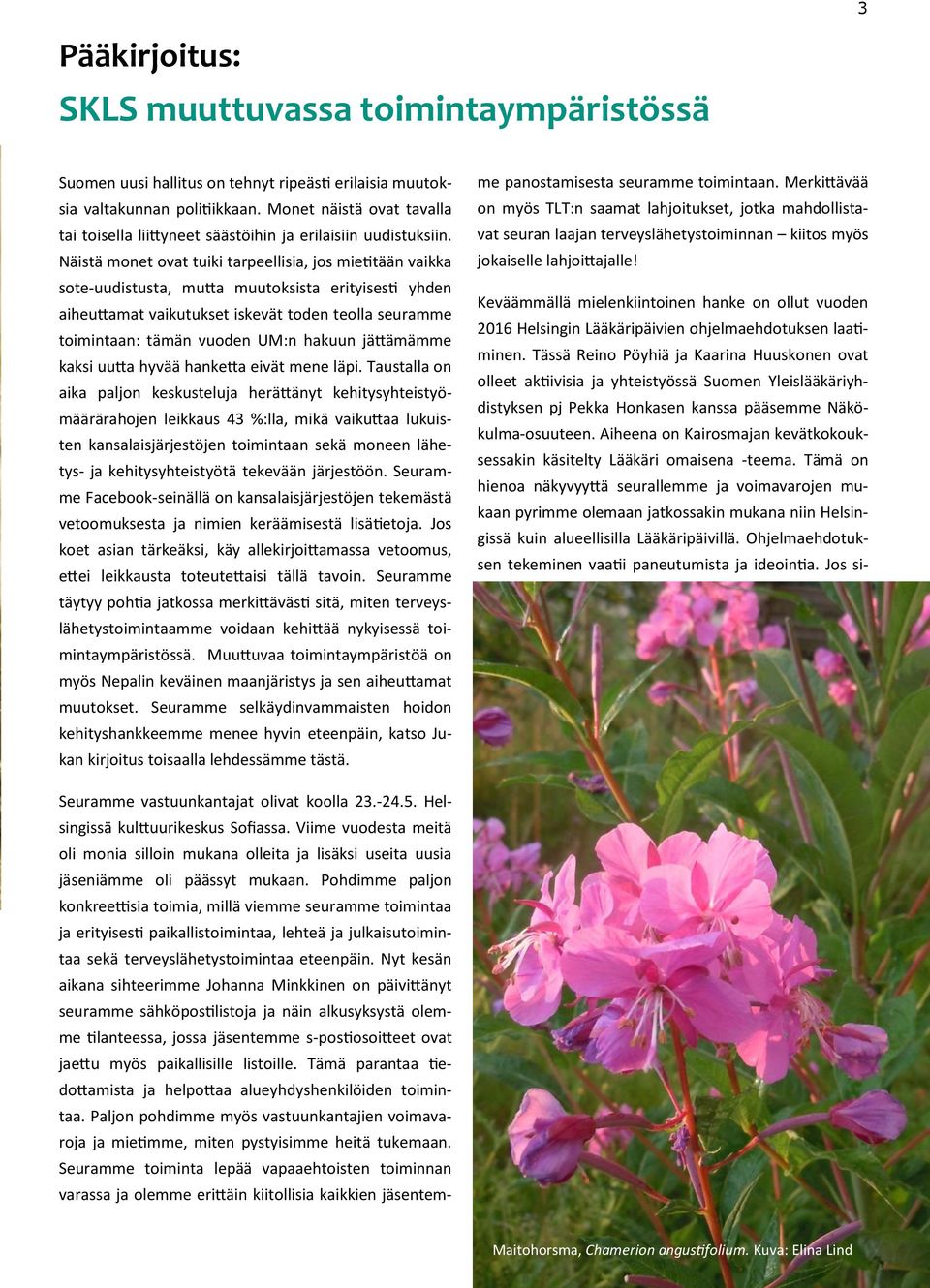 Näistä monet ovat tuiki tarpeellisia, jos mietitään vaikka sote-uudistusta, mutta muutoksista erityisesti yhden aiheuttamat vaikutukset iskevät toden teolla seuramme toimintaan: tämän vuoden UM:n