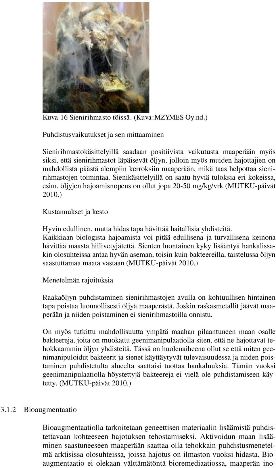 mahdollista päästä alempiin kerroksiin maaperään, mikä taas helpottaa sienirihmastojen toimintaa. Sienikäsittelyillä on saatu hyviä tuloksia eri kokeissa, esim.