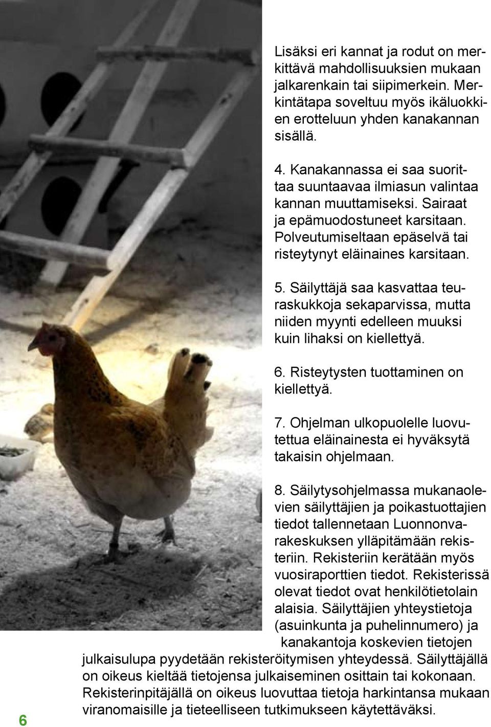 Säilyttäjä saa kasvattaa teuraskukkoja sekaparvissa, mutta niiden myynti edelleen muuksi kuin lihaksi on kiellettyä. 6. Risteytysten tuottaminen on kiellettyä. 7.