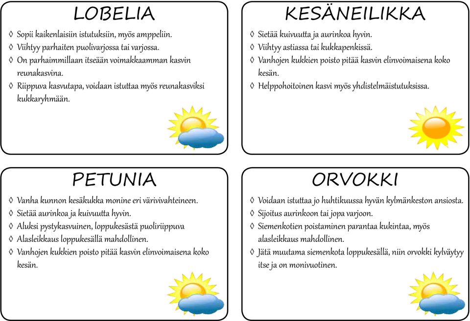 Vanhojen kukkien poisto pitää kasvin elinvoimaisena koko kesän. Helppohoitoinen kasvi myös yhdistelmäistutuksissa. PETUNIA Vanha kunnon kesäkukka monine eri värivivahteineen.