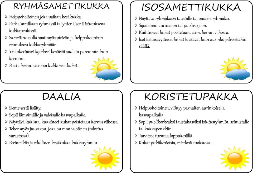 Sijoitetaan aurinkoon tai puolivarjoon. Kuihtuneet kukat poistetaan, esim. kerran viikossa. Isot keltasävytteiset kukat loistavat kuin aurinko pilviselläkin säällä. DAALIA Siemenestä lisätty.