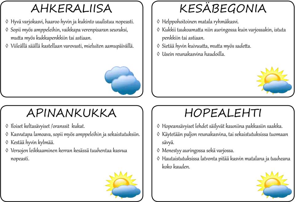 Sietää hyvin kuivuutta, mutta myös sadetta. Usein reunakasvina haudoilla. APINANKUKKA Iloiset keltasävyiset /oranssit kukat. Kasvutapa lamoava, sopii myös amppeleihin ja sekaistutuksiin.