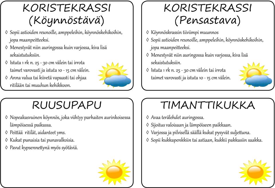 RUUSUPAPU Nopeakasvuinen köynnös, joka viihtyy parhaiten aurinkoisessa lämpöisessä paikassa. Peittää ritilät, aidanteet yms. Kukat punaisia tai punavalkoisia. Pavut kypsennettynä myös syötäviä.